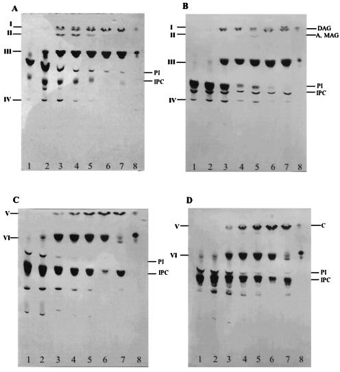 FIG. 6.