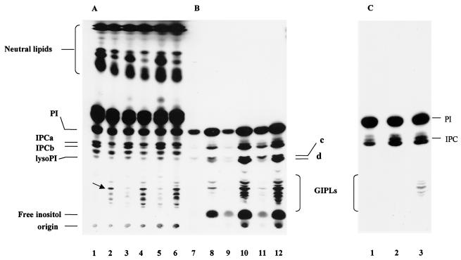 FIG. 2.