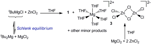 Scheme 2.