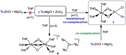 Scheme 1.