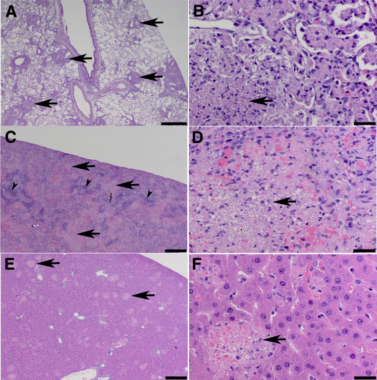 Figure 6