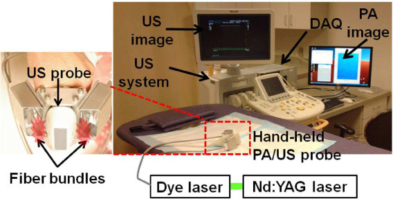 Fig. 1