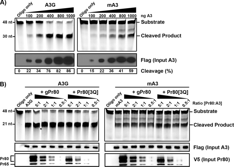 FIG 6