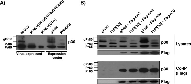 FIG 5