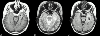 <sc>fig</sc> 1.