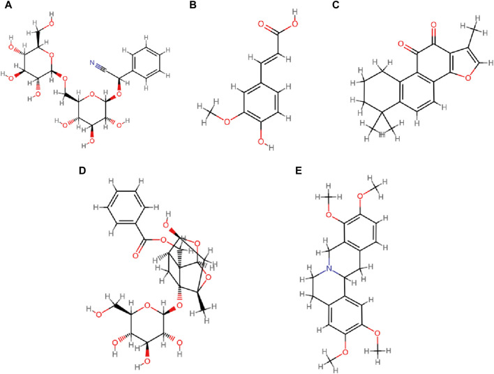 FIGURE 13