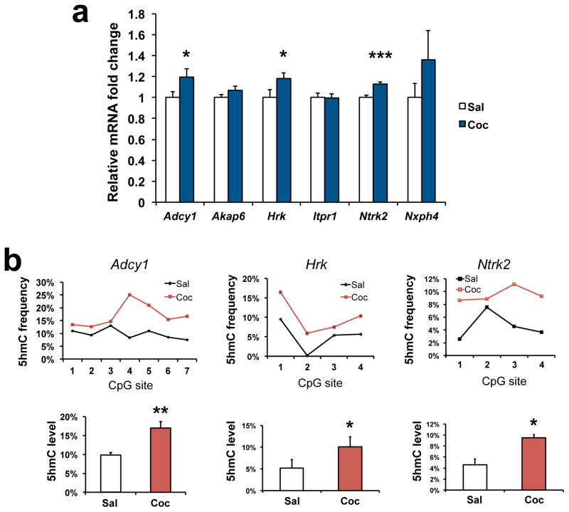 Figure 6