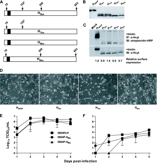 FIG. 4.