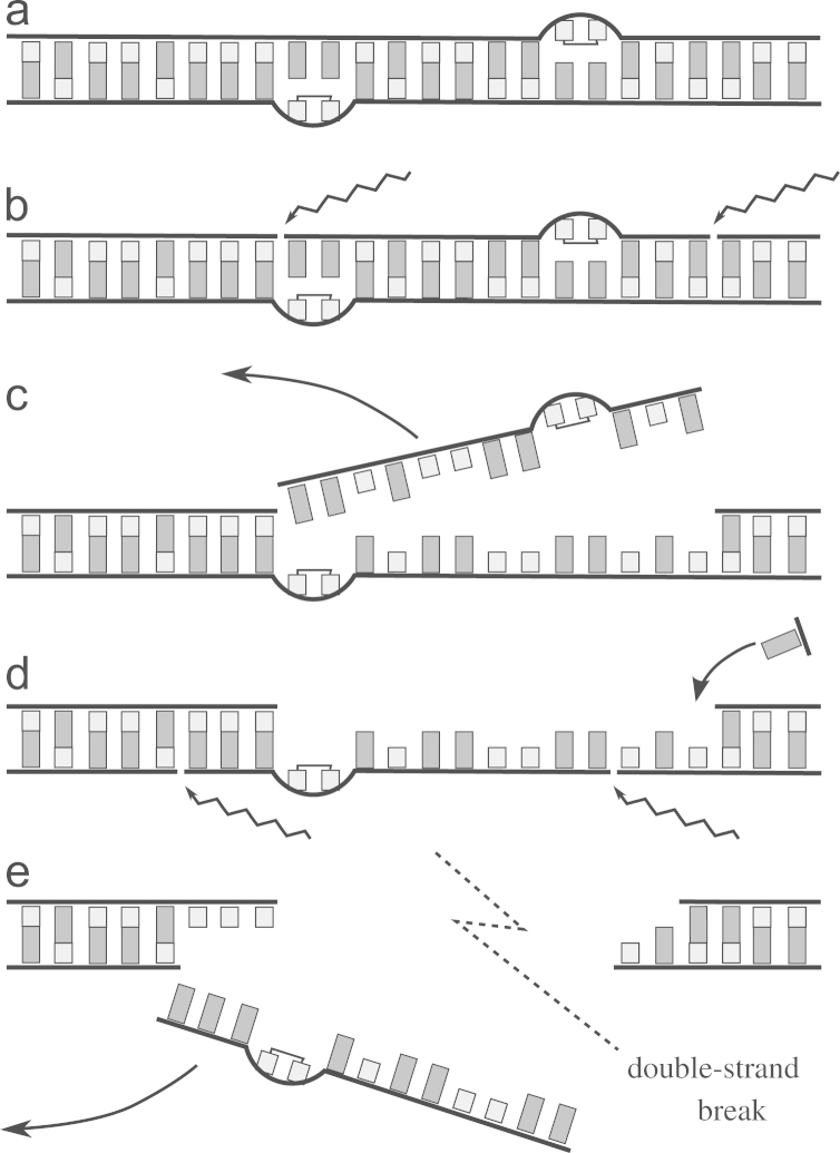 Fig. 1