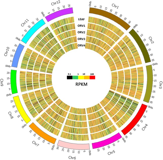 Fig 2