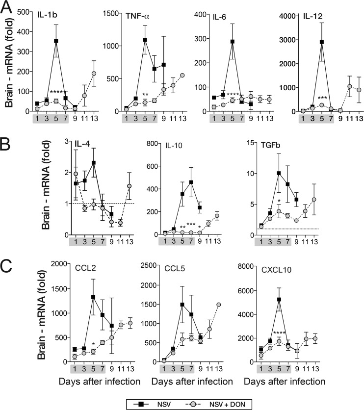 FIG 6