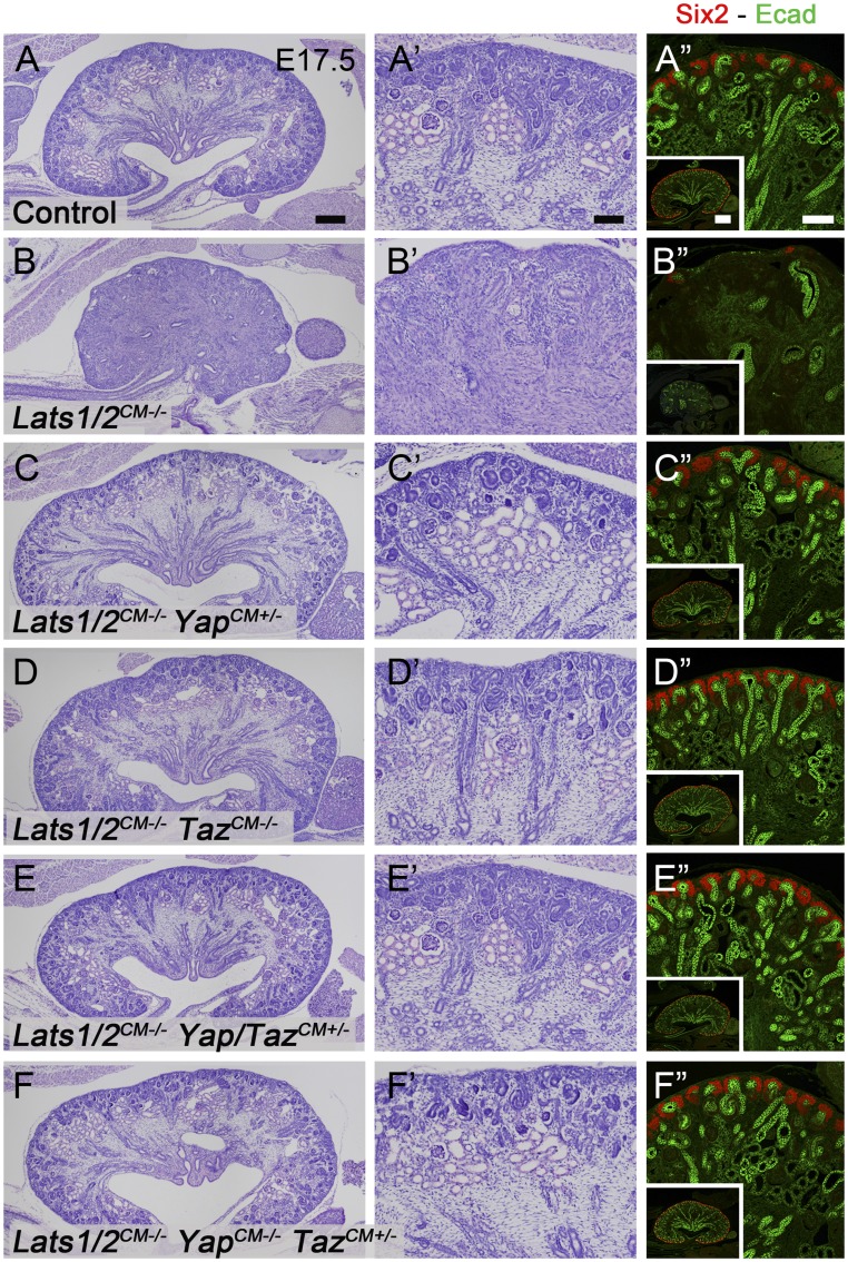 Figure 6.