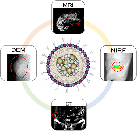 graphic file with name nihms-988289-f0001.jpg