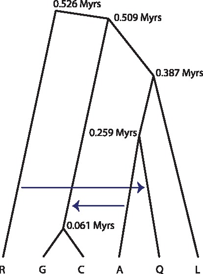 Fig. 6.