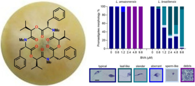 graphic file with name np4c01098_0007.jpg