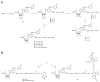 Scheme 1<sup>a</sup>