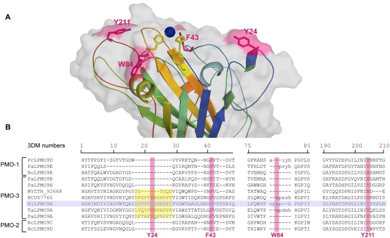 Fig 5