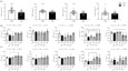 graphic file with name rsob200306.thumb.jpg