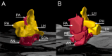 Fig. 3