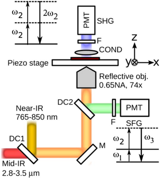 Fig. 1