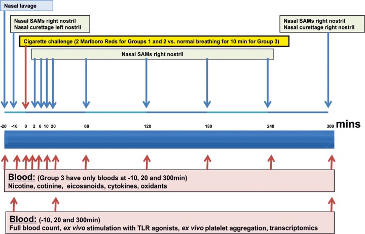 Figure 2