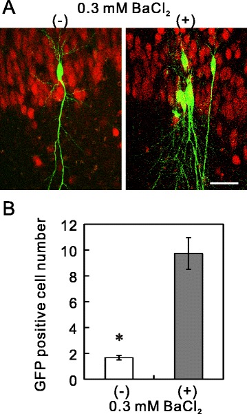 Figure 5