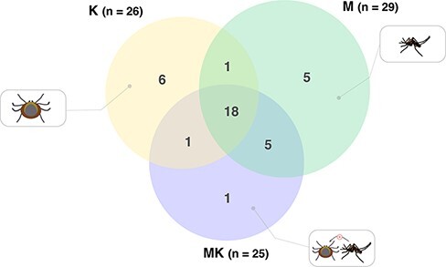 Figure 6.