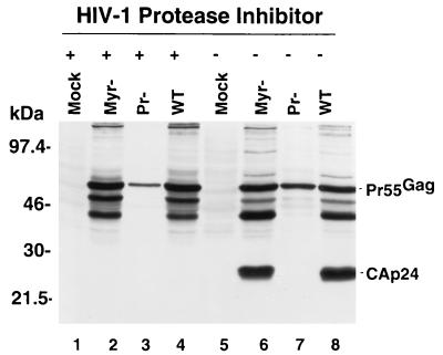 FIG. 6