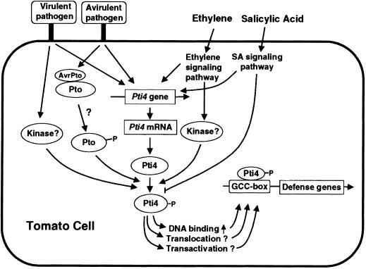 Figure 10.