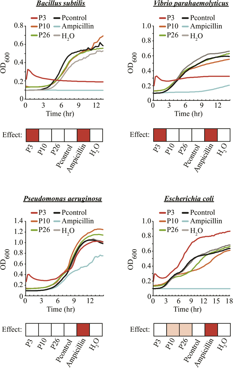 Figure 3