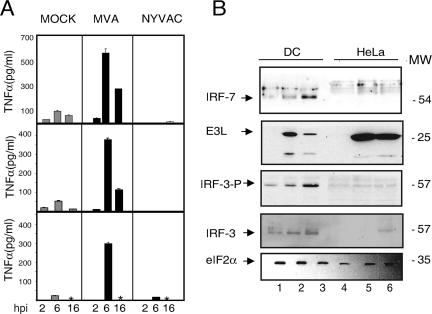 FIG. 5.