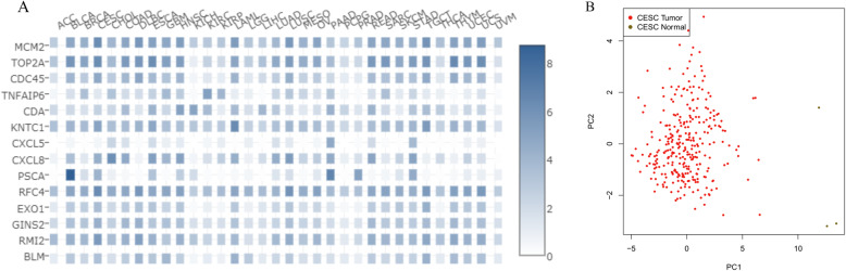 Fig. 13