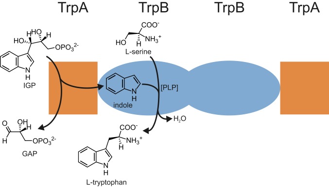 Fig. 1.