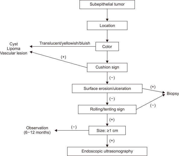 Fig. 10