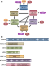 Fig. 1