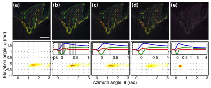 Fig. 7