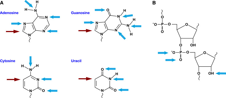 Fig. 1