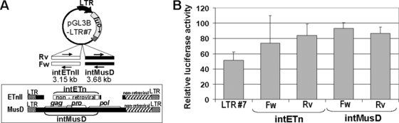 FIG. 2.