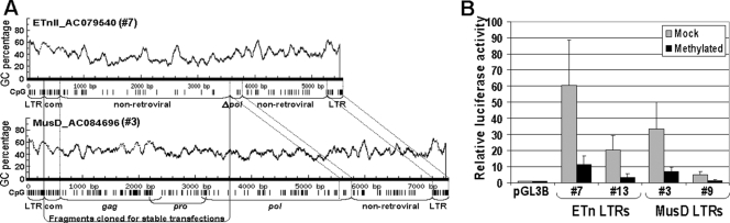 FIG. 5.