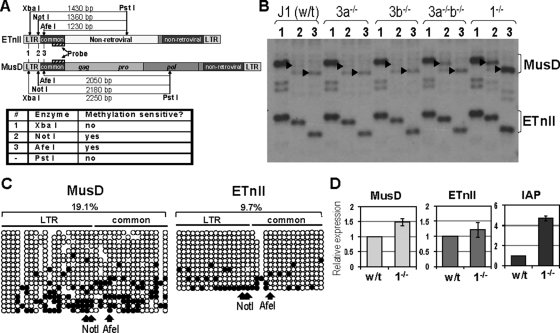 FIG. 6.