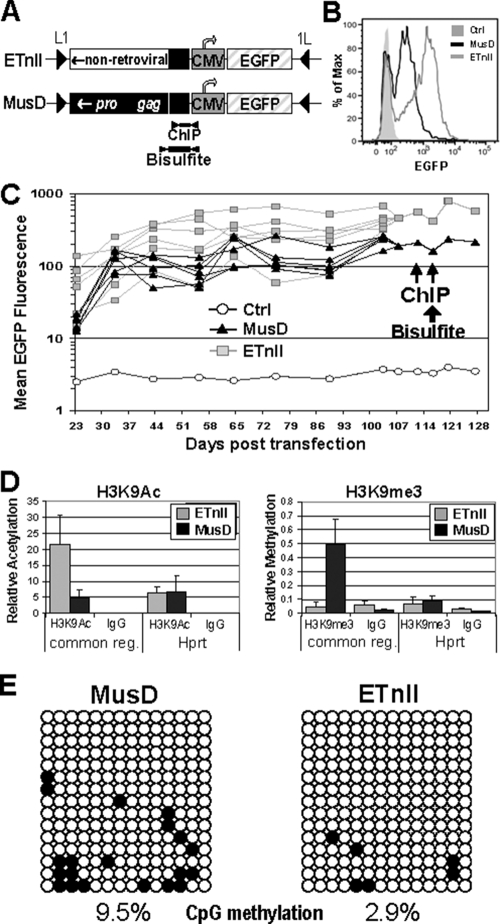 FIG. 7.