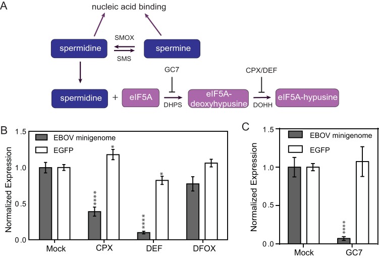 FIG 3 