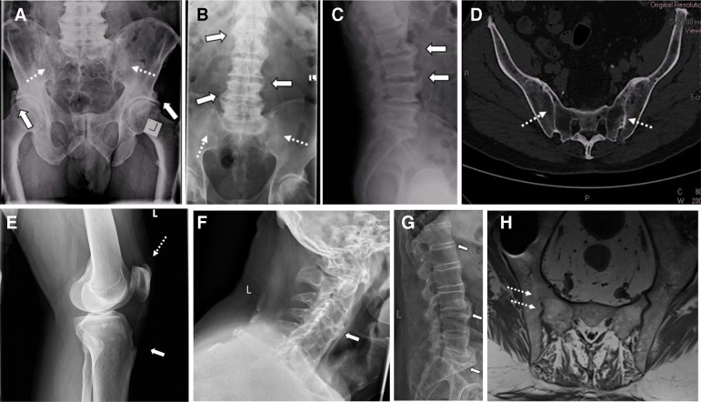 Figure 13