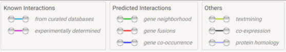 Diagram showing types of interactions: known interactions include curated databases (blue) and experimentally determined (pink), predicted interactions include gene neighborhood (green), gene fusions (red), and gene co-occurrence (blue), and others include text mining (yellow), co-expression (black), and protein homology (purple).