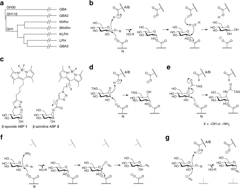 FIGURE 1.