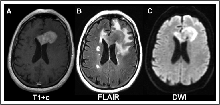 Fig 1.