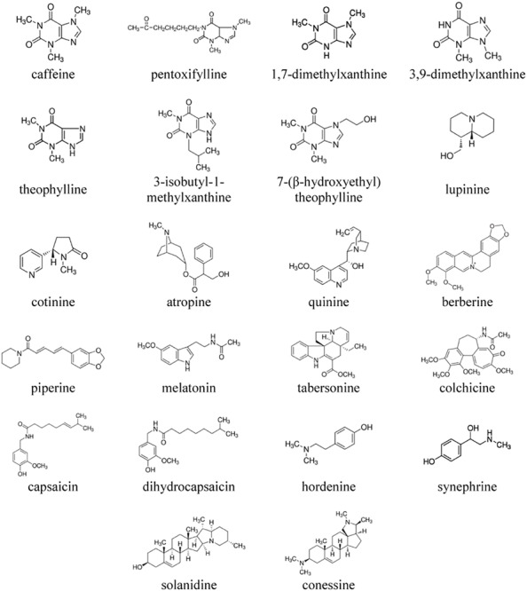 FIGURE 1