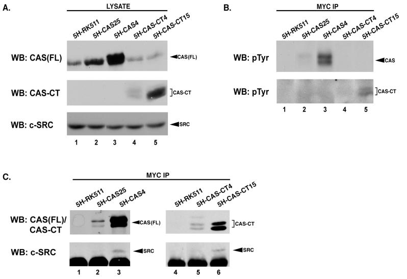 FIG. 7