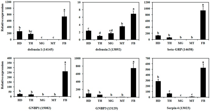 Figure 6