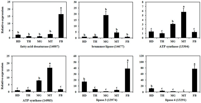 Figure 11